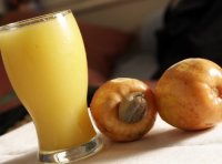 09 SUCO DE CAJU - 500ml